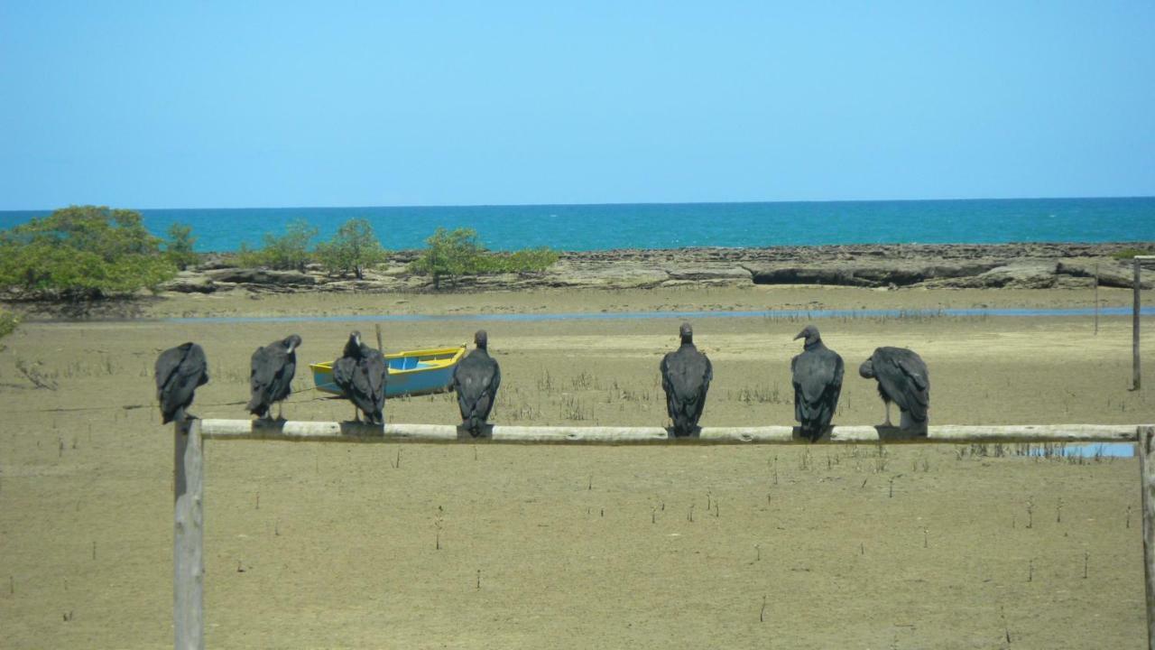 Residencial Praia Dos Corais Coroa Vermelha Buitenkant foto